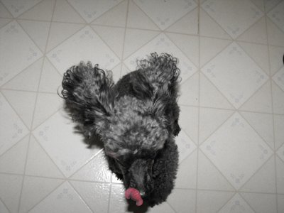 ./2009/Nigel/thumbnigel